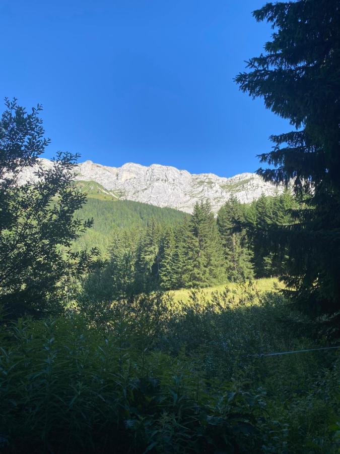 Cretes Du Vercors Vue Magnifique Villard-de-Lans Esterno foto